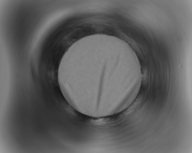 X0000096410430200802211229