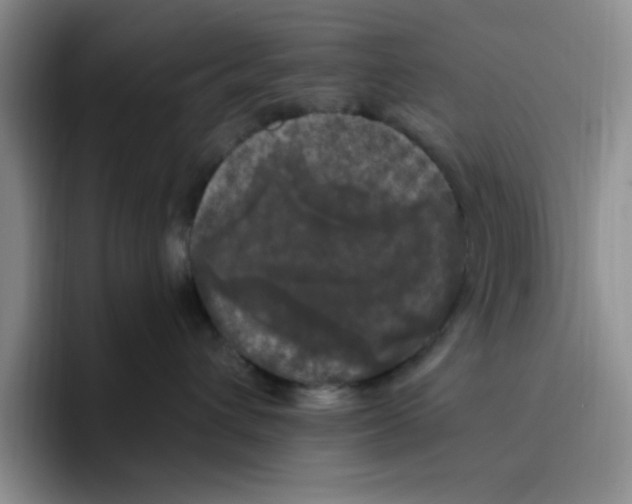 X0000096410432200802211229