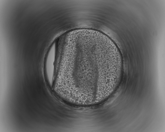 X0000096410434200802211229