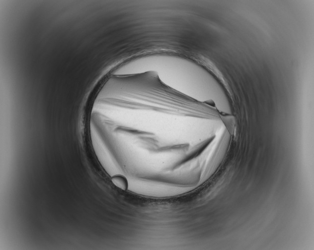 X0000096410435200802211229