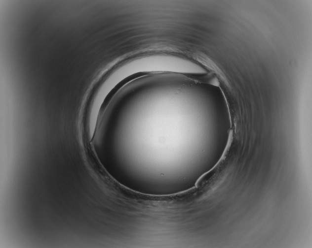X0000096410436200802211229