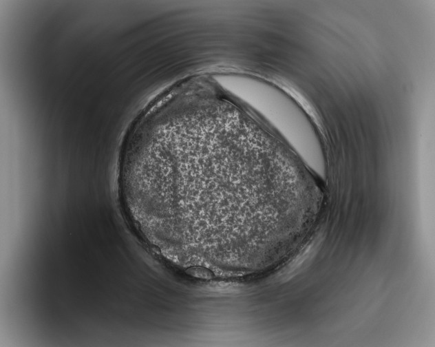 X0000096410437200802211229