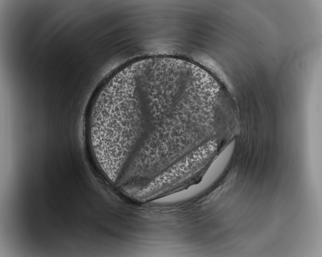 X0000096410439200802211229