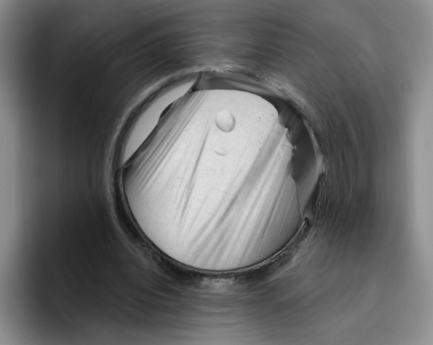 X0000096410440200802211229