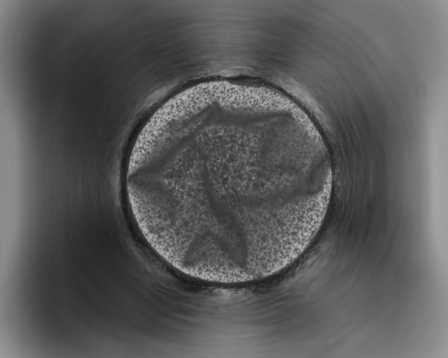 X0000096410442200802211229