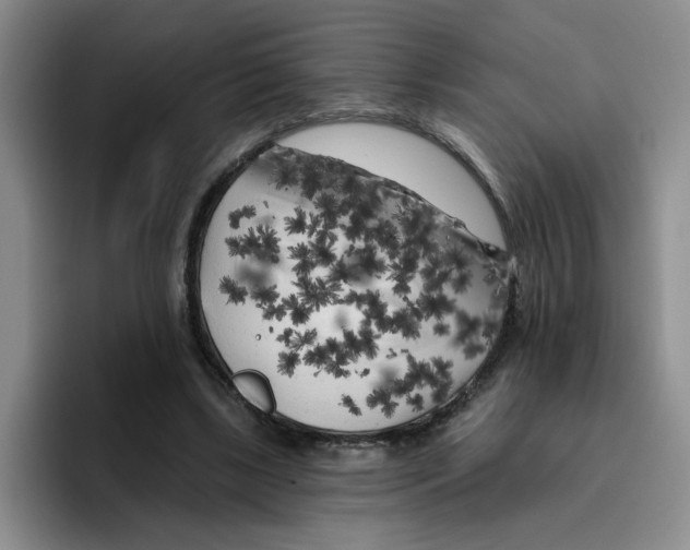 X0000096410443200802211229