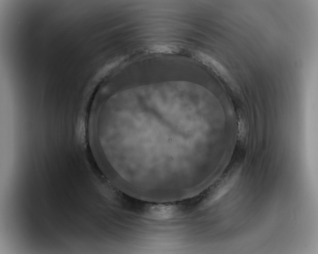 X0000096410444200802211229