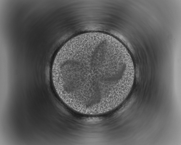 X0000096410445200802211229