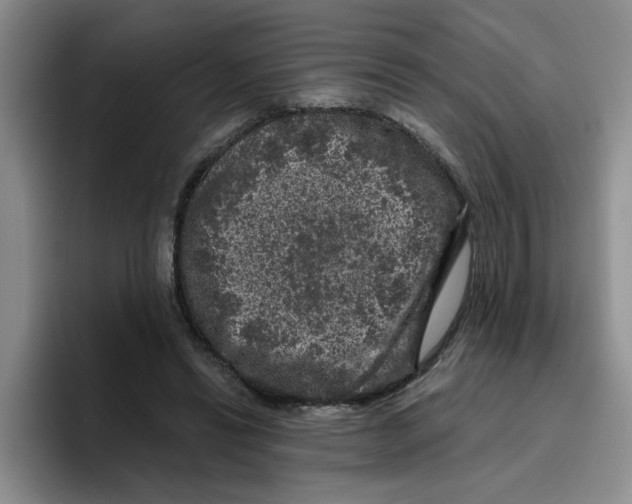 X0000096410446200802211229