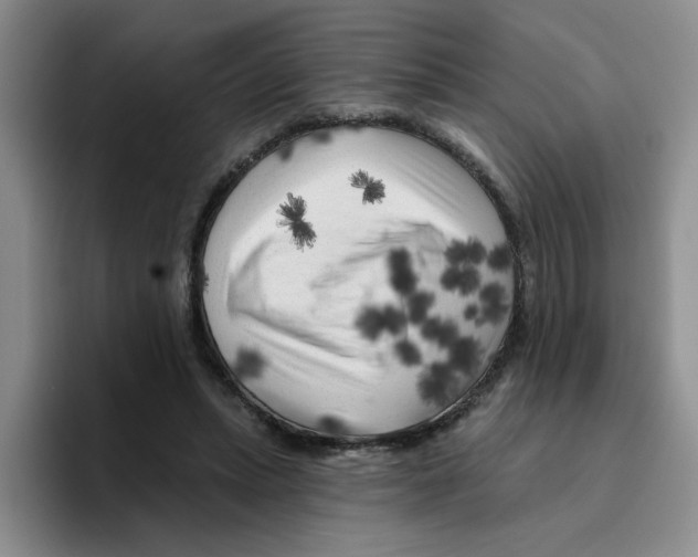 X0000096410447200802211229