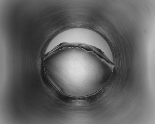 X0000096410448200802211229