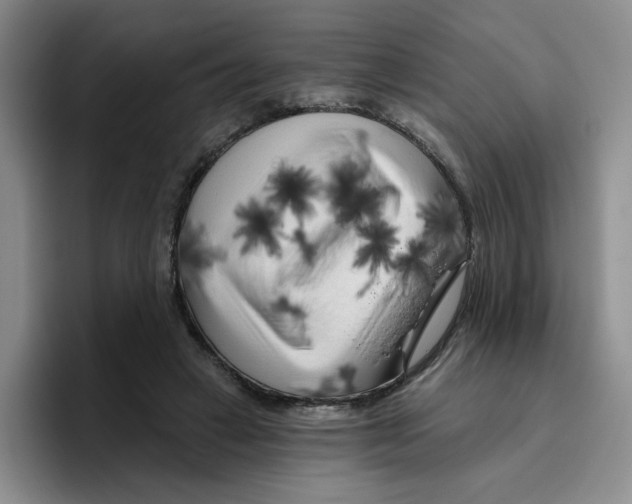 X0000096410449200802211229