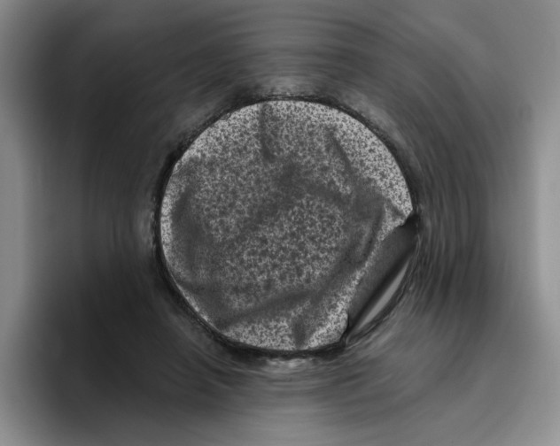 X0000096410450200802211229