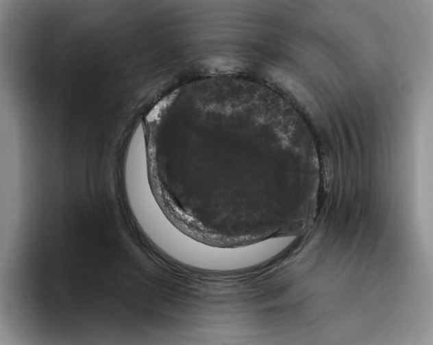 X0000096410451200802211229