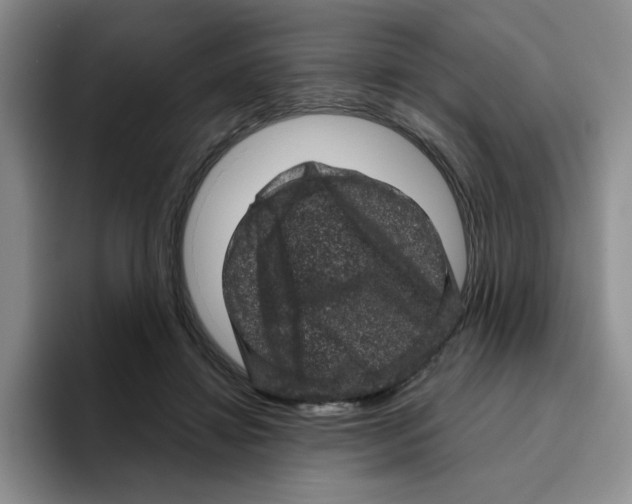 X0000096410452200802211229