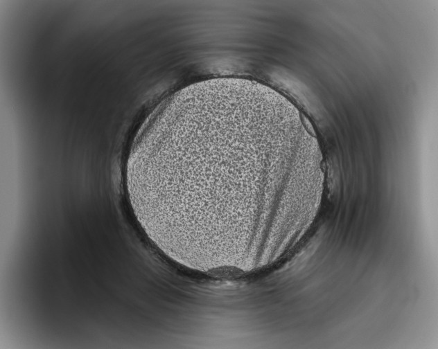 X0000096410453200802211229