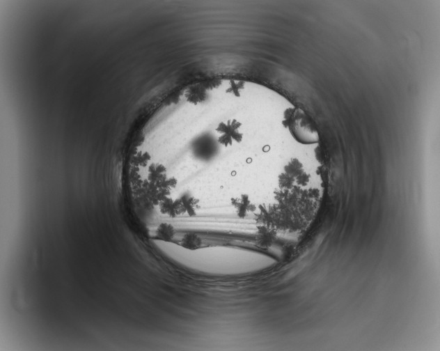 X0000096410454200802211229
