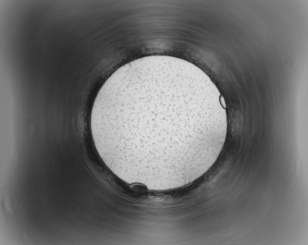 X0000096410455200802211229