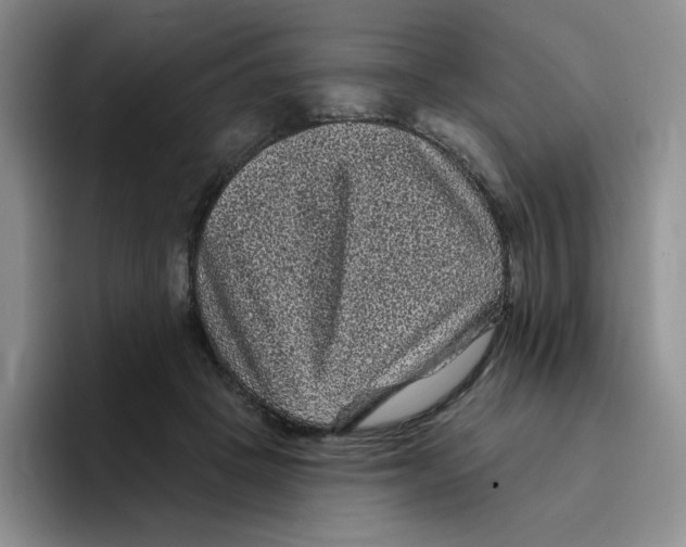 X0000096410457200802211229