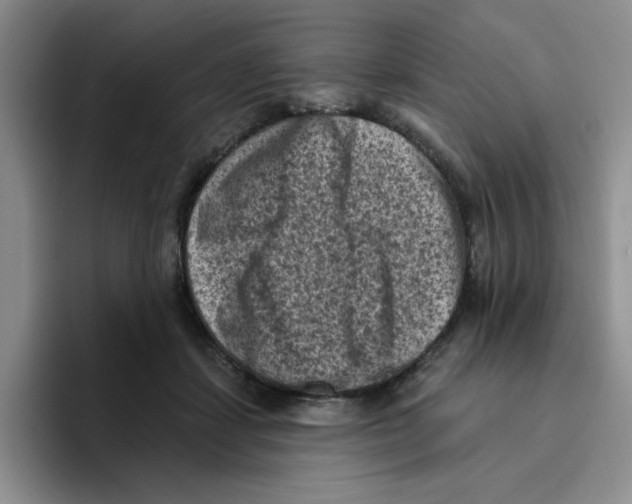 X0000096410459200802211229