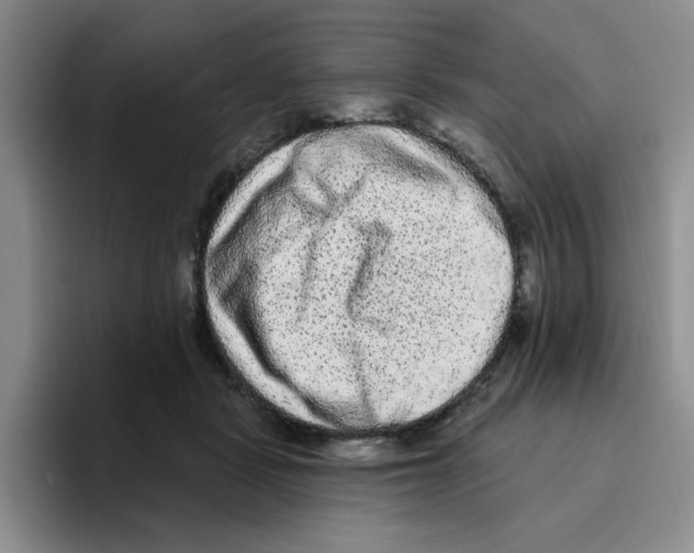 X0000096410461200802211229