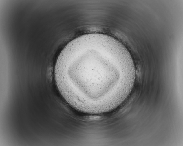 X0000096410462200802211229
