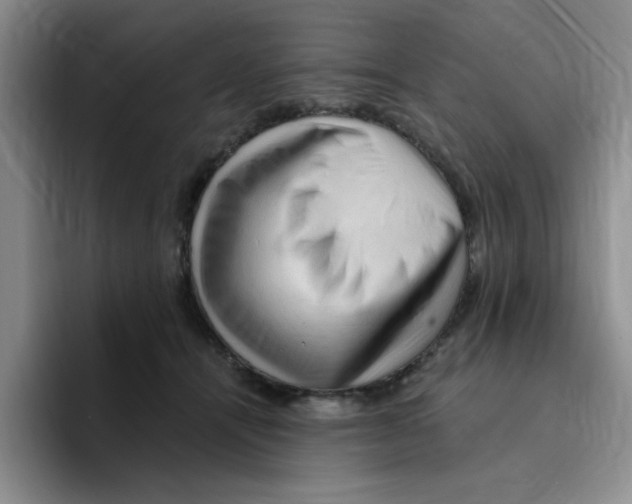 X0000096410464200802211229