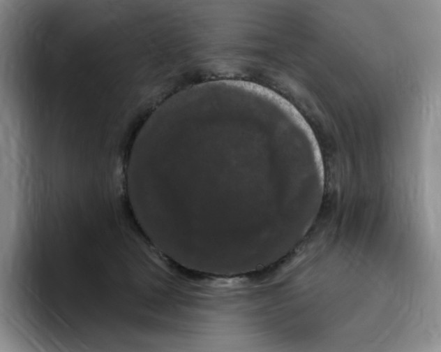 X0000096410465200802211229