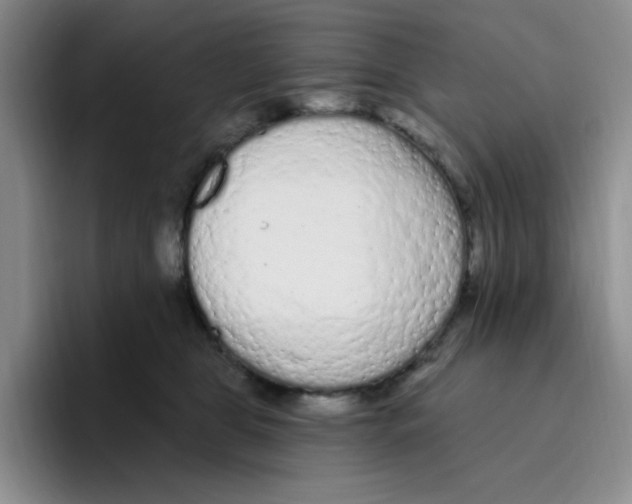 X0000096410469200802211229