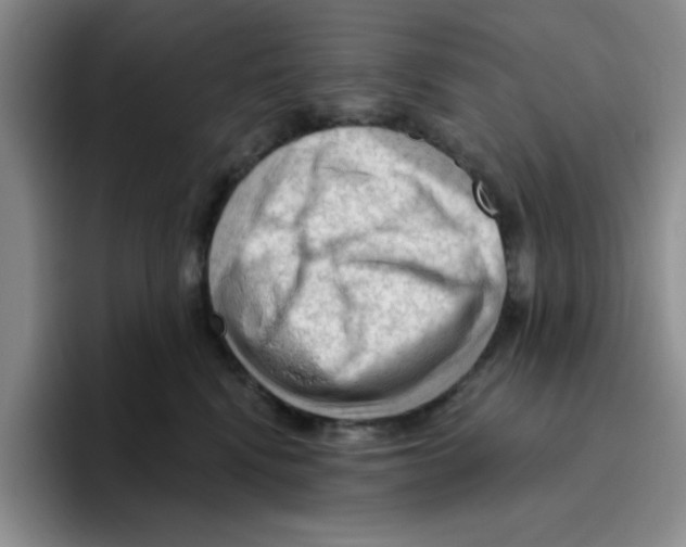 X0000096410472200802211229