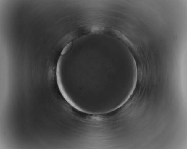 X0000096410475200802211229