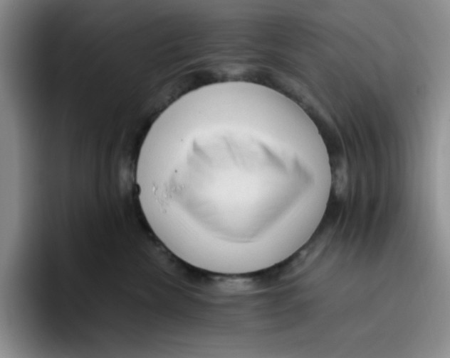 X0000096410476200802211229