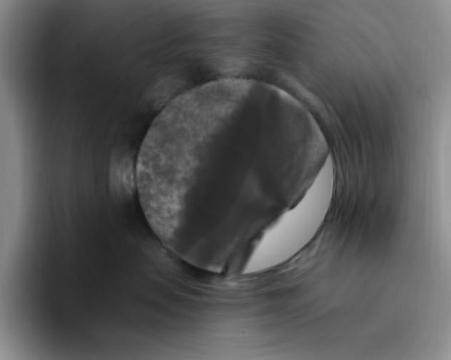 X0000096410479200802211229
