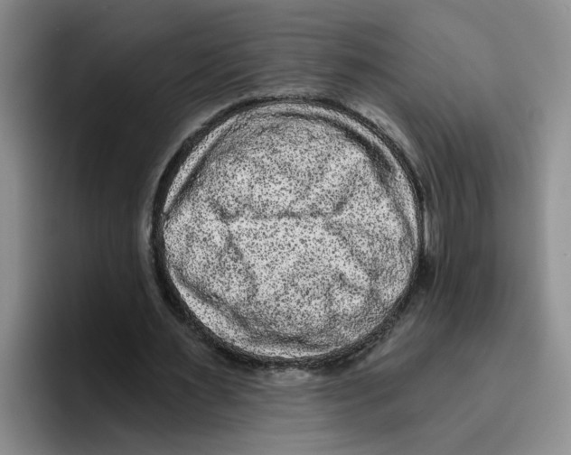 X0000096410483200802211228