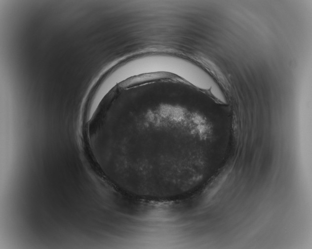 X0000096410484200802211228