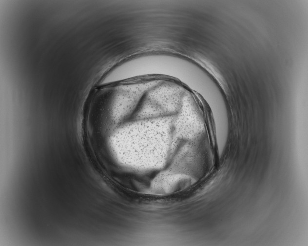 X0000096410485200802211228