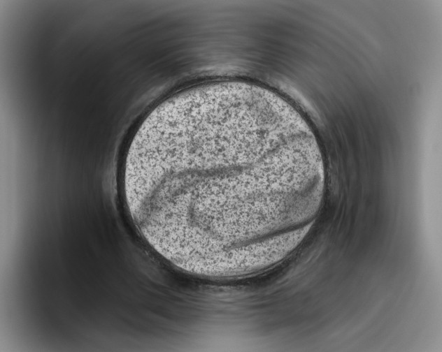 X0000096410486200802211228