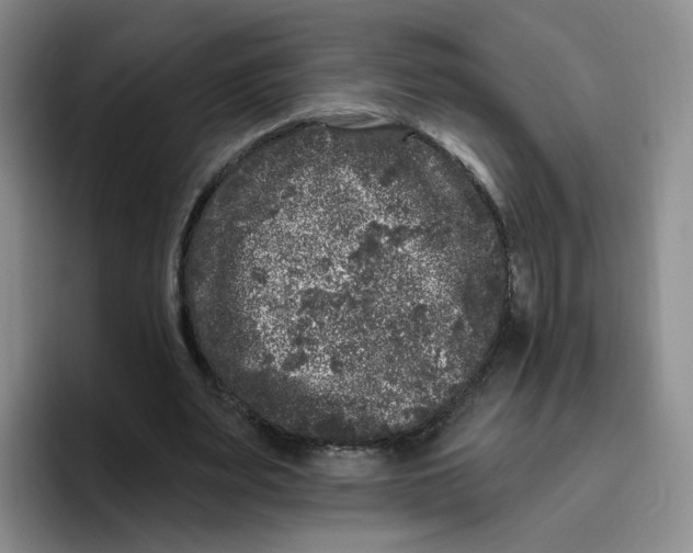 X0000096410487200802211228