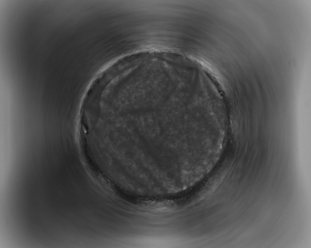 X0000096410488200802211228