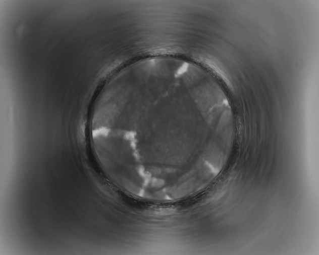 X0000096410491200802211228