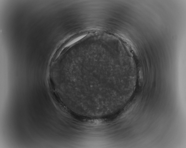 X0000096410492200802211228