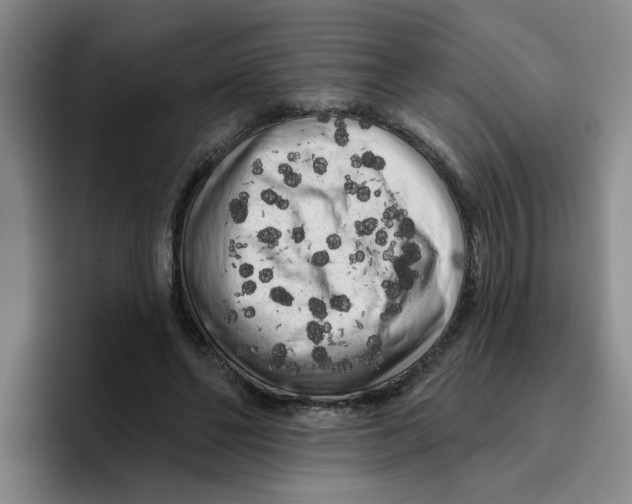 X0000096410494200802211228