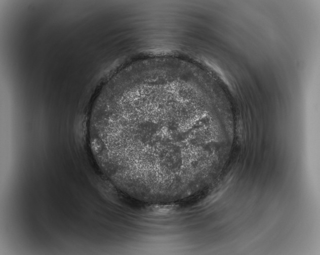 X0000096410495200802211228