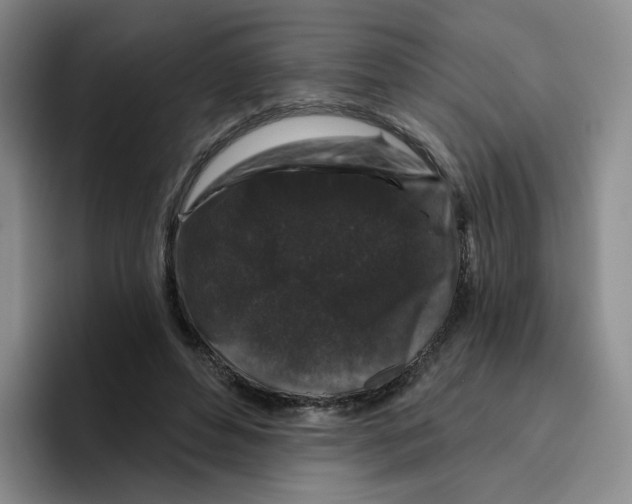 X0000096410496200802211228
