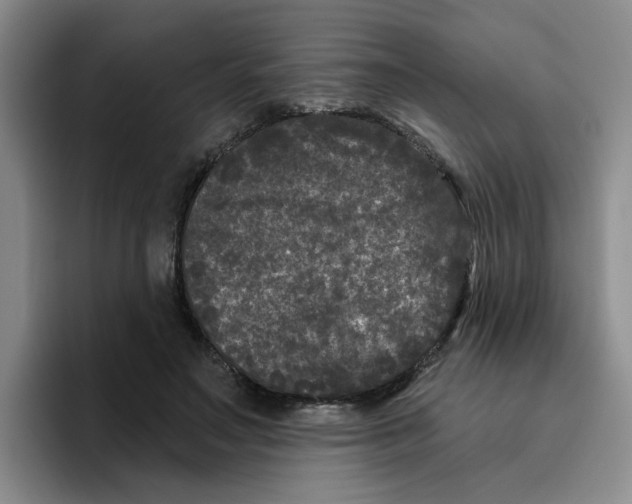X0000096410499200802211228