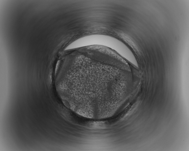 X0000096410501200802211228