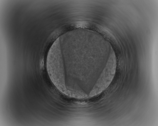 X0000096410502200802211228