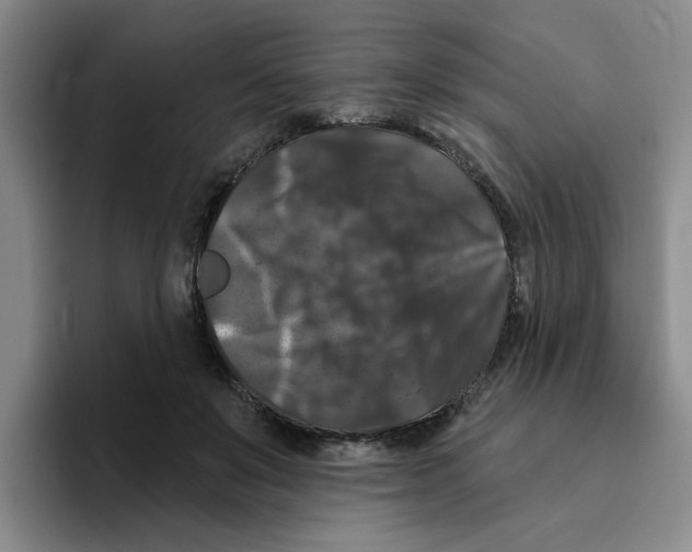 X0000096410503200802211228
