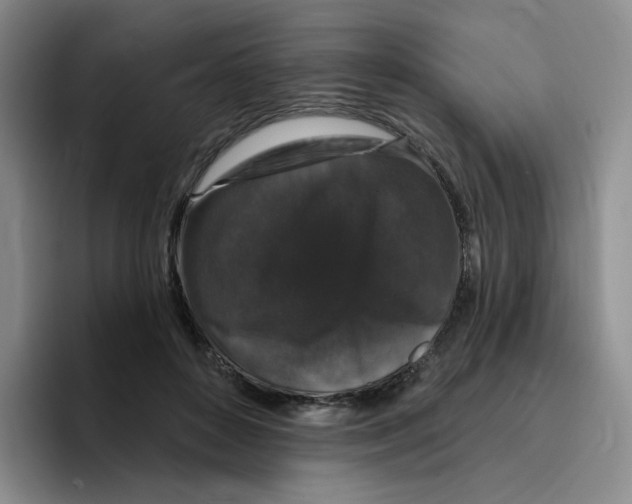 X0000096410504200802211228