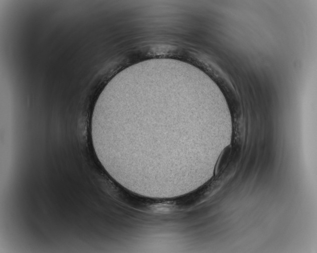 X0000096410505200802211228